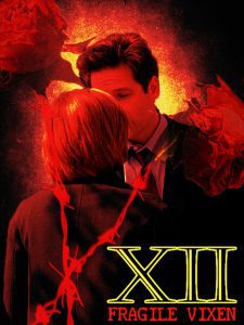 Book Cover: XII by FragileVixen