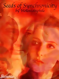 Book Cover: Seeds of Synchronicity by Mountainphile