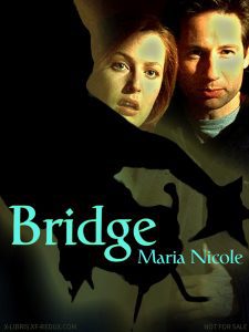 Book Cover: Bridge by Maria Nicole