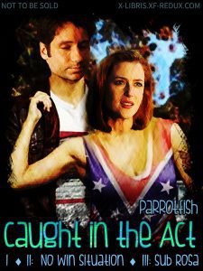 Book Cover: Caught in the Act series by Parrotfish