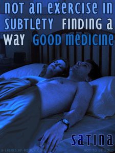 Book Cover: Not an Exercise in Subtlety by Satina