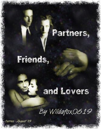 Partners Friends & Lovers cover