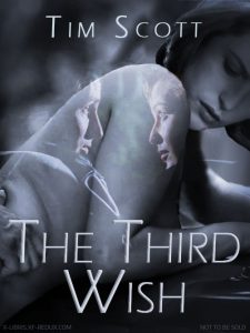 Third Wish by Tim Scot
