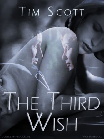 Third Wish by Tim Scot