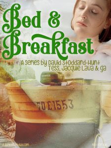Book Cover: Bed & Breakfast Series by DavidS, Tess, Jacquie Lava & ga