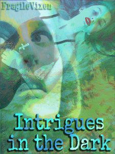 Intrigues in the Dark cover