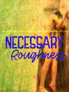 Necessary Roughness cover