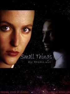 Small Things cover
