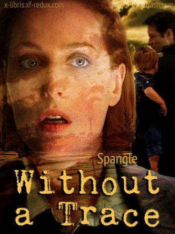 Without a Trace cover