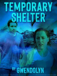 Temporary Shelter cover