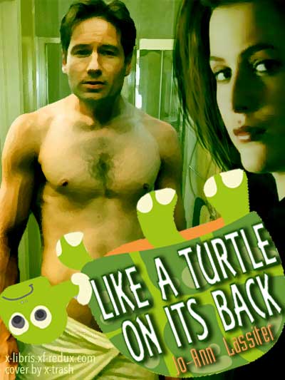 Like a Turtle cover