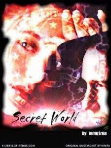 Secret World cover