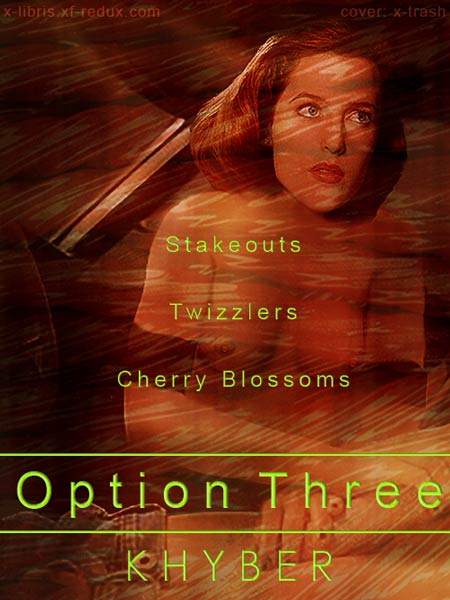 Option Three cover