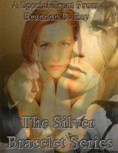 Silver Bracelet Series cover