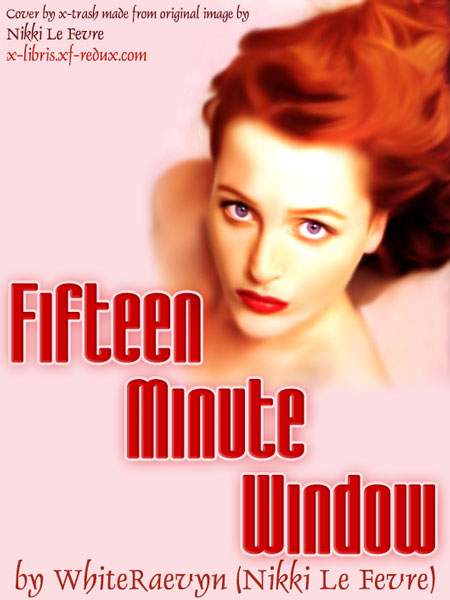 Fifteen Minute Window cover