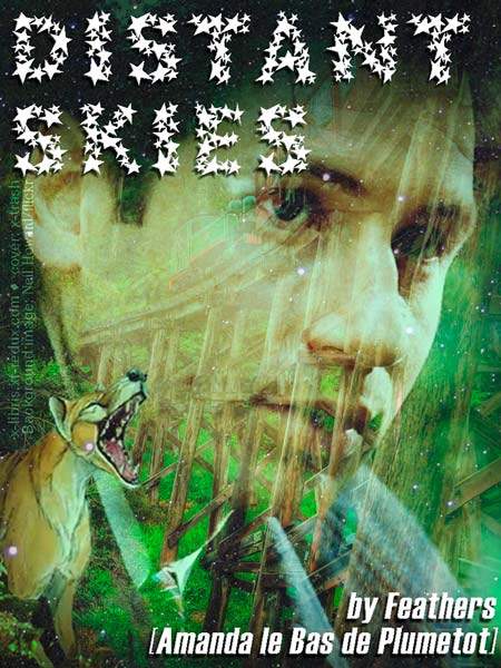 Distant Skies cover