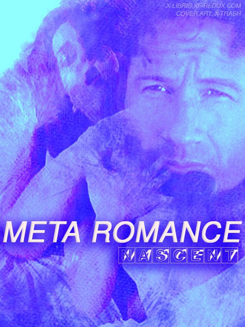 metaromance cover