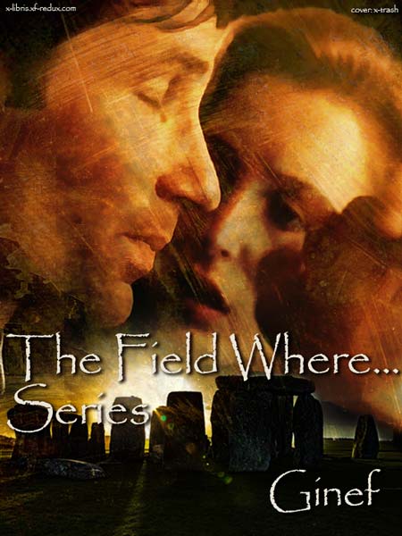 The Field Where... series cover