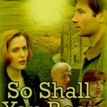 So Shall You Reap cover