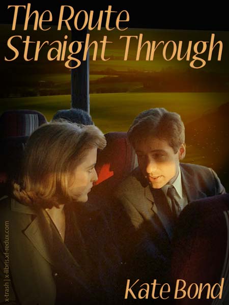 Route Straight Through cover