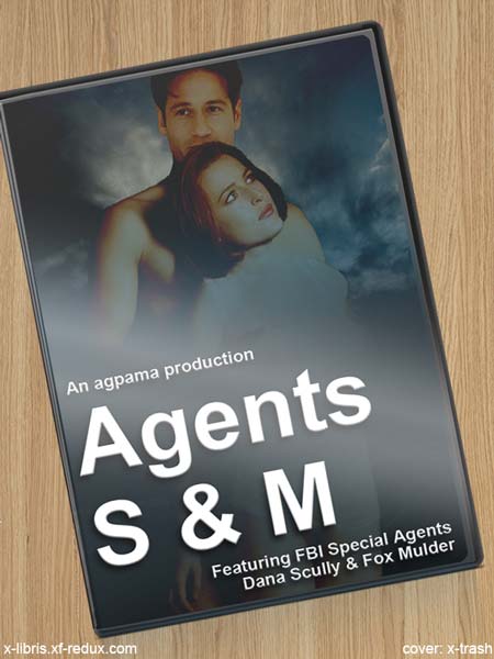 Agents S&M cover