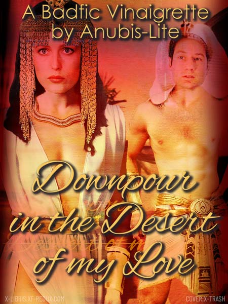 Downpour in the Desert cover