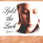 Split the Lark cover