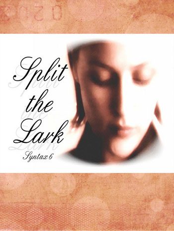 Split the Lark cover