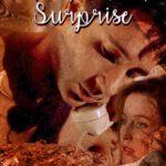 Birthday Surprise cover