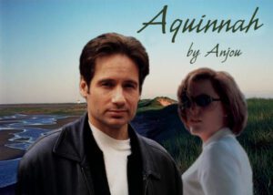 Original Aquinnah cover