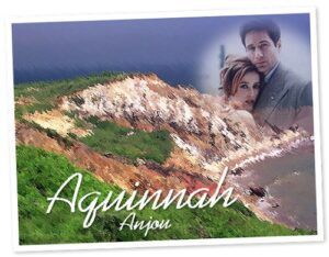 IOHO Aquinnah cover