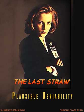 The Last Straw cover