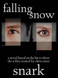 Falling Snow cover by Andy G.
