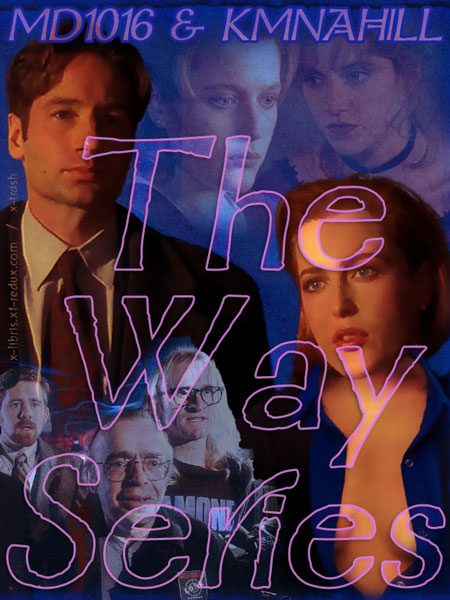 The Way Series cover
