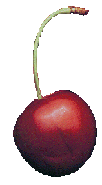 cherry