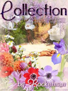 Collection cover