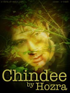Chindee cover art